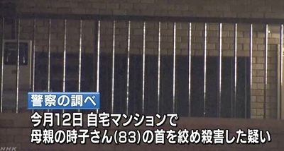埼玉県さいたま市緑区母親殺害事件3.jpg
