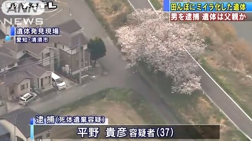 愛知県清須市堤防ミイラ化死体遺棄1.jpg