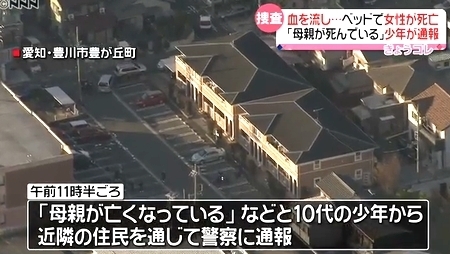 愛知県豊川市ブラジル人女性殺人0.jpg