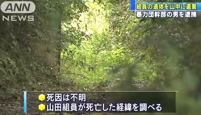 神奈川県藤沢市の山林暴力団組員死体遺棄4.jpg