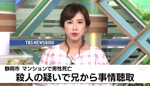 静岡市駿河区車イスの弟殺人事件.jpg